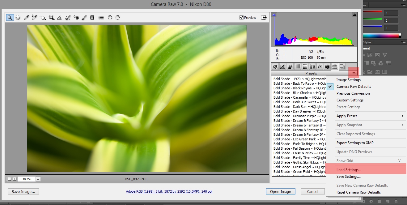 Adobe camera raw 10.0 download for mac